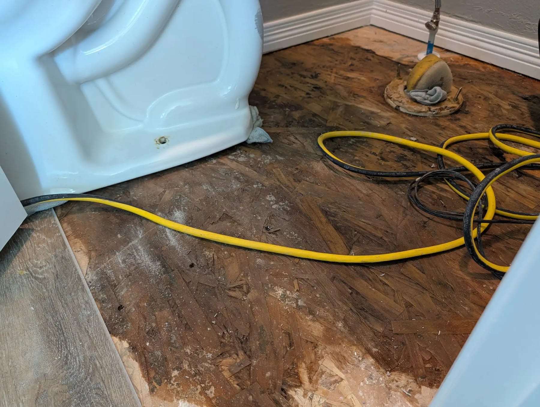 Toilet pulled aside to reveal a stained, moldy subfloor with drying hoses