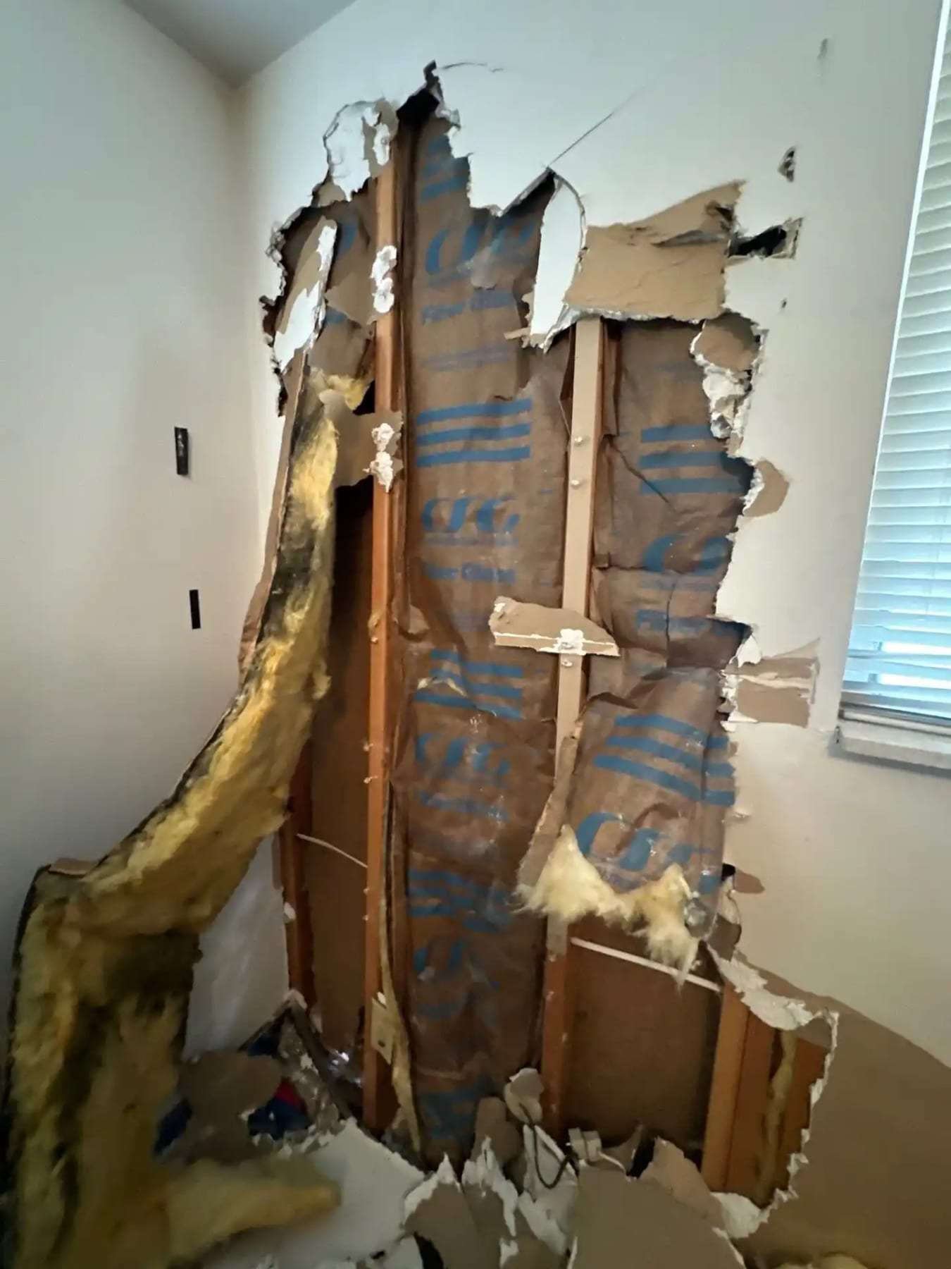 Wall opened up to show wet insulation and the water line inside